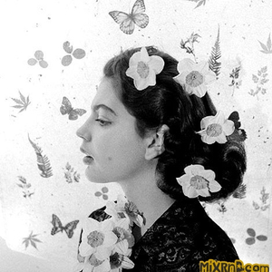 藤原辽子初菊门注入
