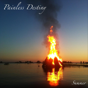 藤原辽子初菊门注入
